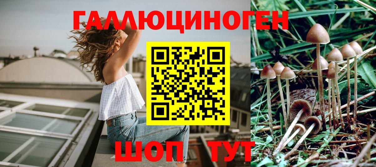 Псилоцибиновые грибы мицелий Усть-Кут