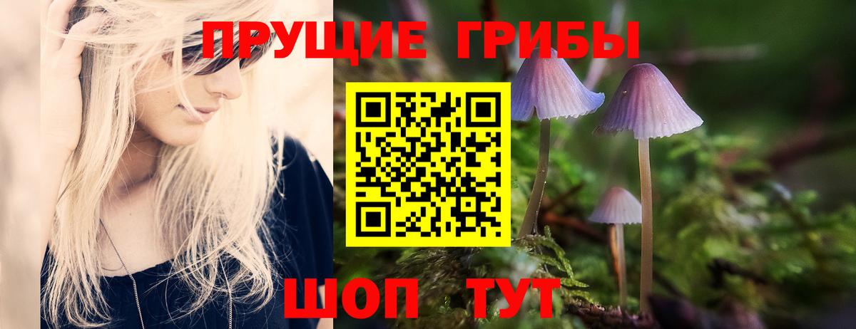 Галлюциногенные грибы Psilocybine cubensis  Галлюциногенные грибы MAGIC MUSHROOMS  Вход с VPN  Усть-Кут 